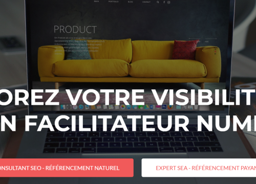 Consultant SEO / SEA Montpellier