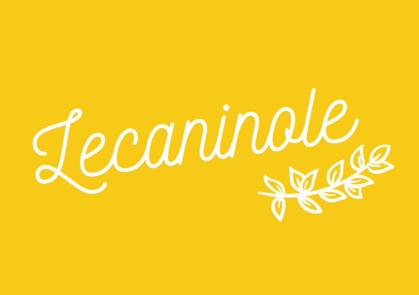 Lecaninole.fr : bio, DIY, zéro déchet