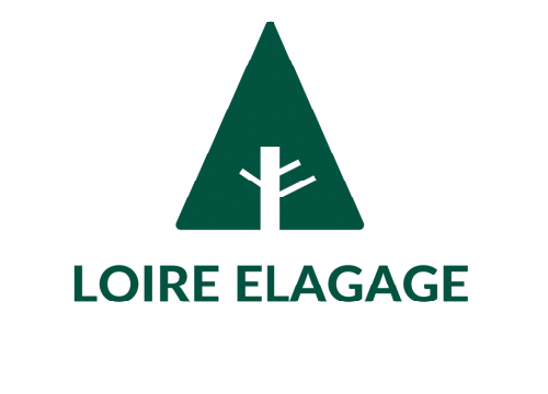 Elagueur à Tours