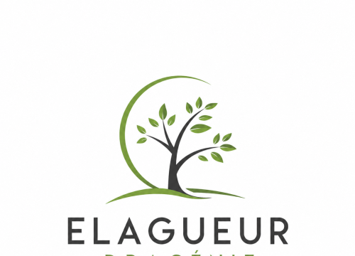 Élagueur en Dracénie - élagage et abattage d'arbres dans le Var