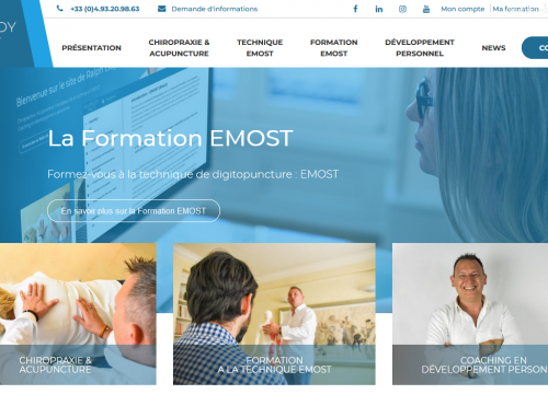 formation en ligne soins énergétique par digitopuncture