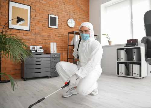 3D NET SERVICES - entreprise de nettoyage Reims