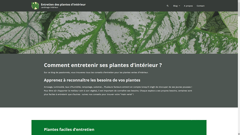 Entretien plante intérieur