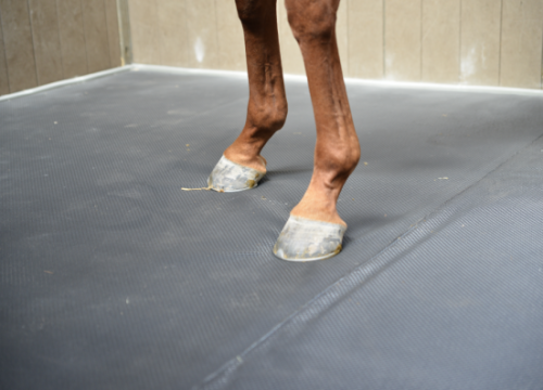 matelas pour boxe chevaux technical horse