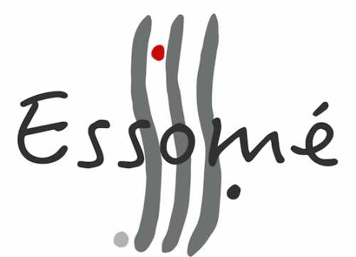 Essomé Coaching et Formations en Management et Leadership à Lyon