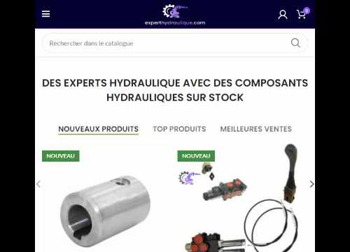 Site experthydraulique.com