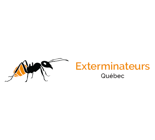Exterminateurs Québec inc. | Exterminateurs des nuisibles