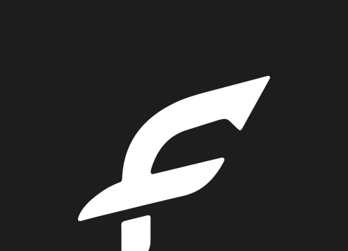logo fint