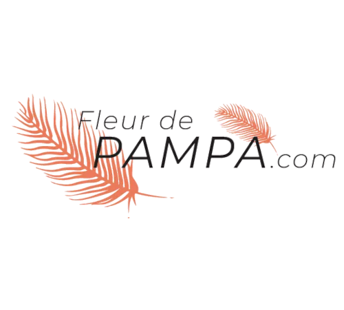 Découvrez la fleur de pampa pour votre décoration