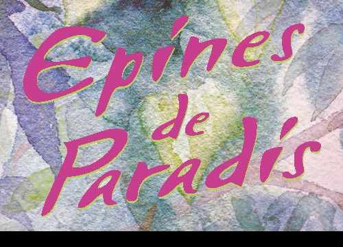 Epines de paradis - Fleuriste épines de paradis