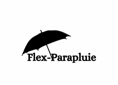 Logo flex parapluie