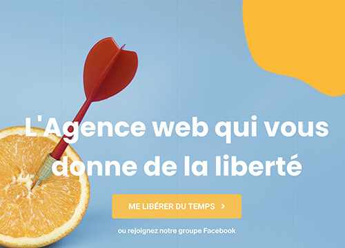 Flowr Agency, agence de marketing digital français-anglais