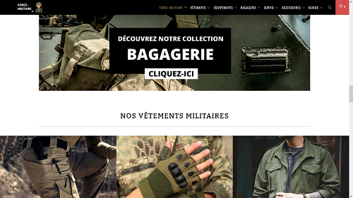 Force militaire