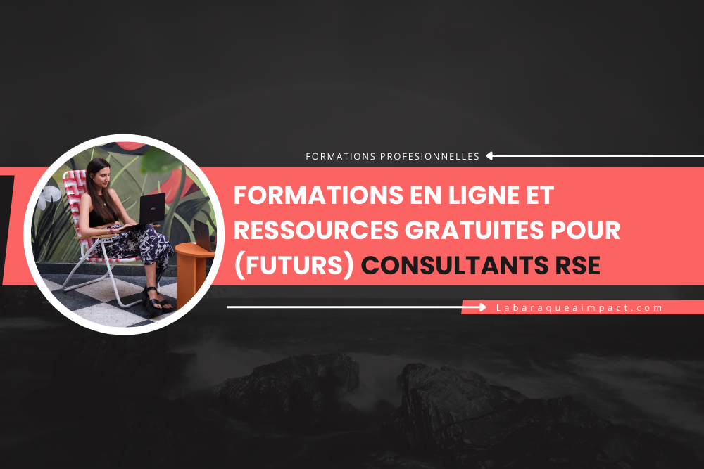 consultant RSE