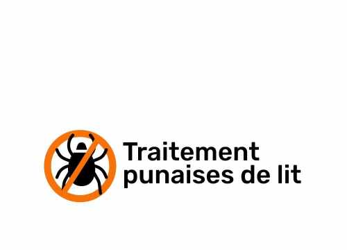 Traitement des punaises de lit et des puces de parquet