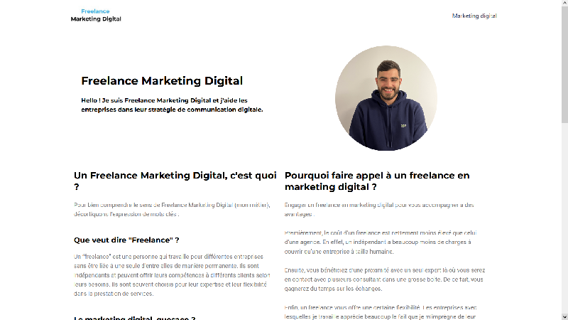Freelance Marketing Digital