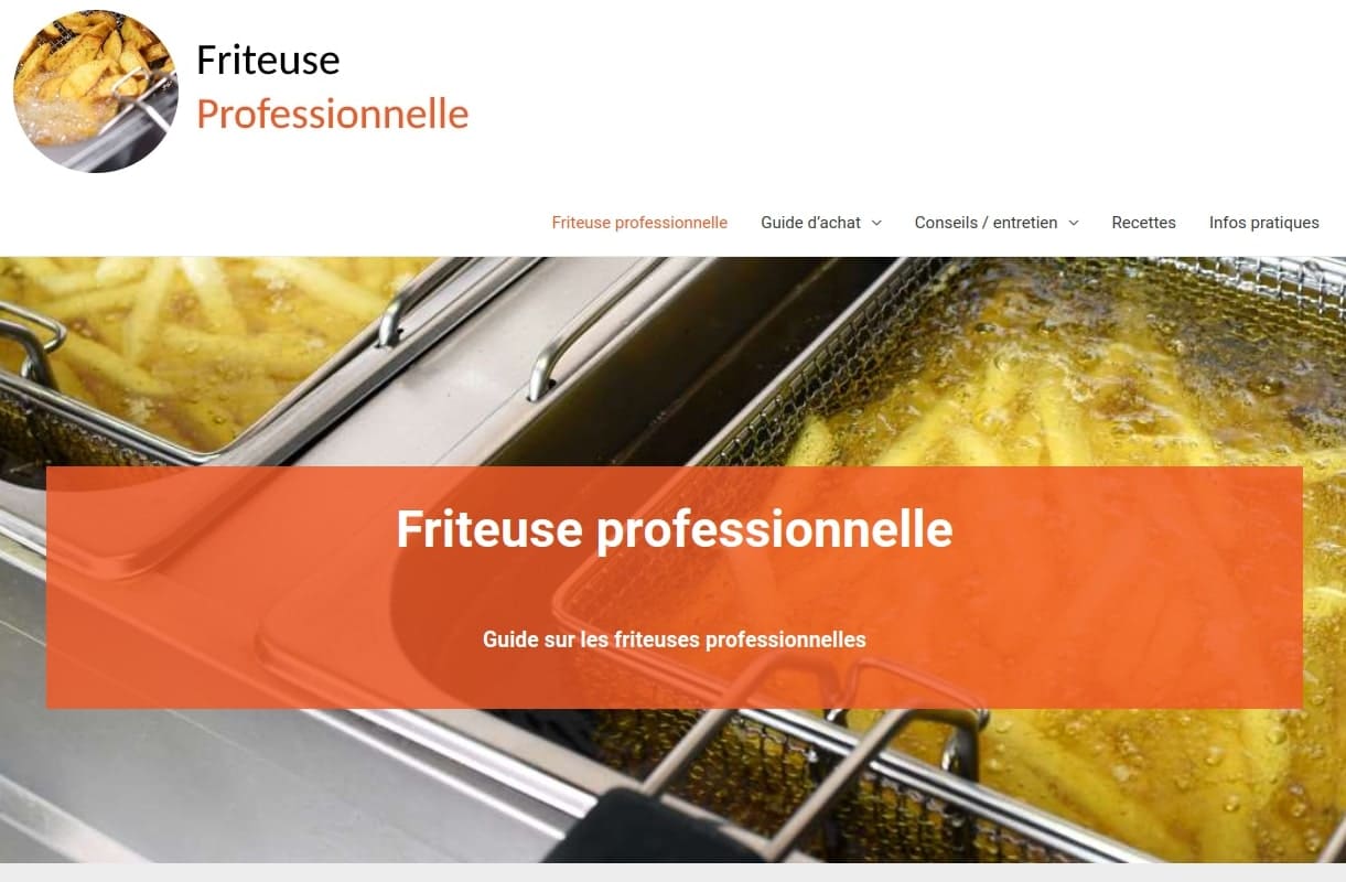friteuse professionnelle