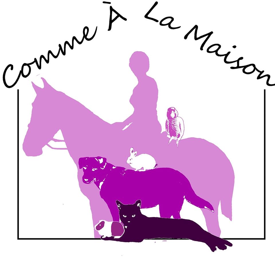 Garde d'animaux à domicile à Lure
