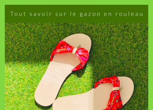 Guide Gazon en rouleau