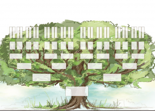exemple arbre généalogique 
