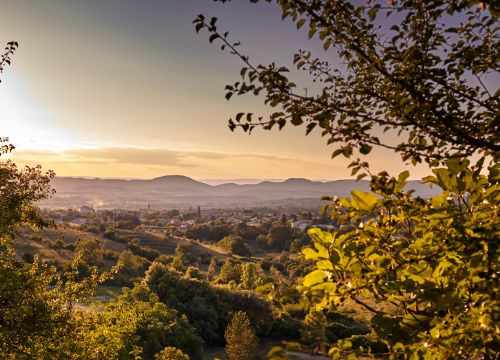 Vue sur la campagnde Cévenole du côté de Barjac