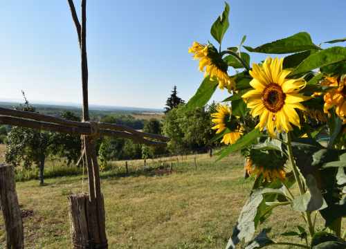 gite vosges à la campagne