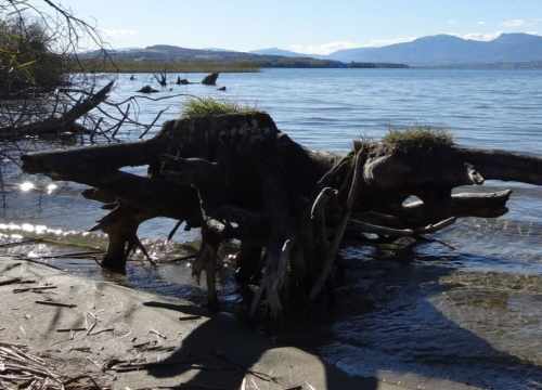 Les Amis de la Nature Estavayer et environs