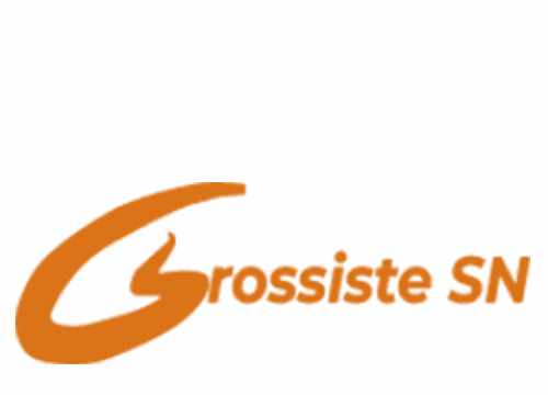 Logo site e-commerce Grossite