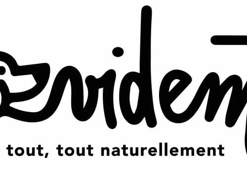 Logo Evident boutique