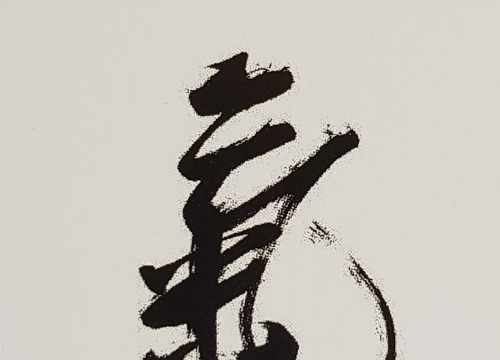 Praticienne professionnelle de shiatsu sur 