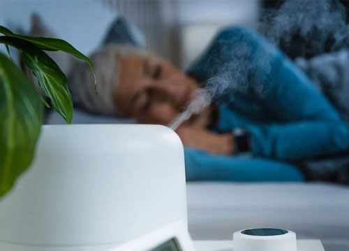 Boutique spécialisée dans la vente d'humidificateurs d'air silencieux et ultrasoniques