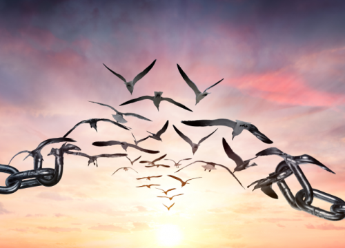 Se libérer par l'hypnose ericksonienne à Lyon