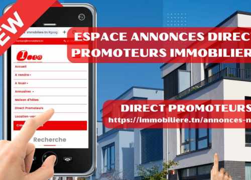 Direct Promoteurs