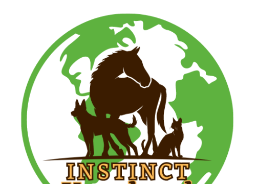 logo boutique en ligne pour chiens chats chevaux Instinct Vagabond