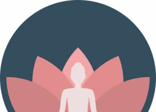 Logo de la boutique Vibrations Positives