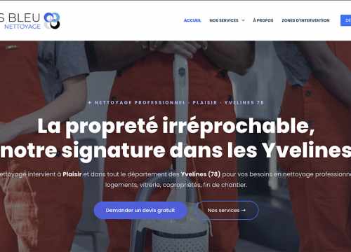iris bleu nettoyage Plaisir Yvelines
