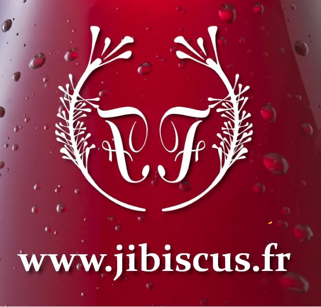 jibiscus boisson fleur