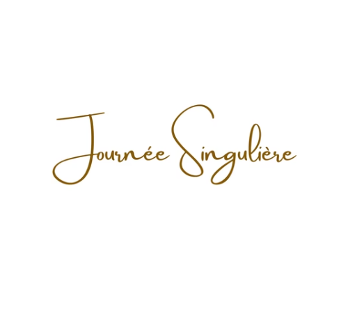 logo journée singulière