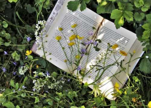 La Belle book box, des box livresques pas comme les autres.
