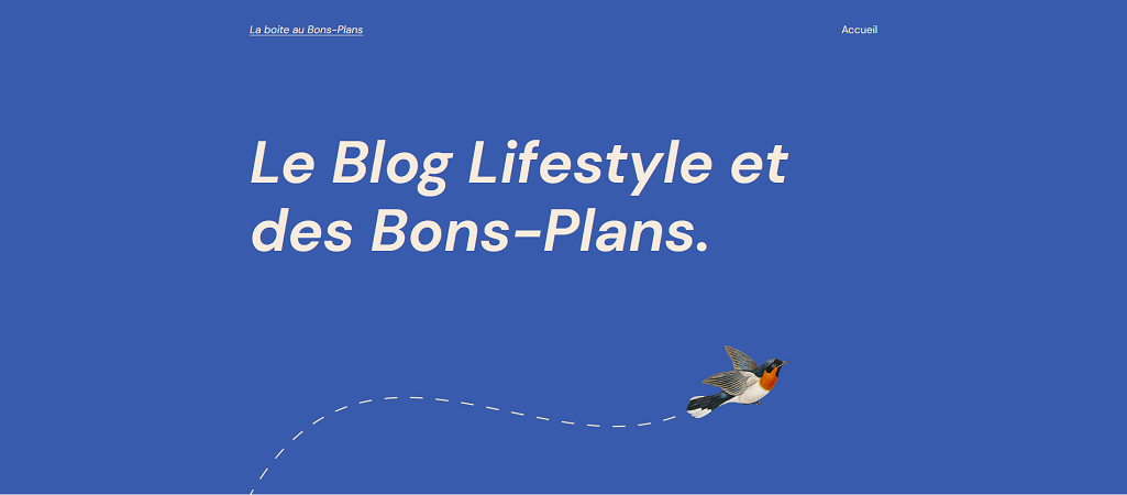 La boite au Bons-Plans