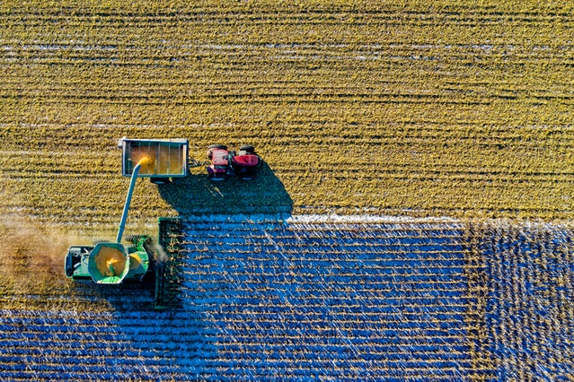 blog pour les agriculteurs