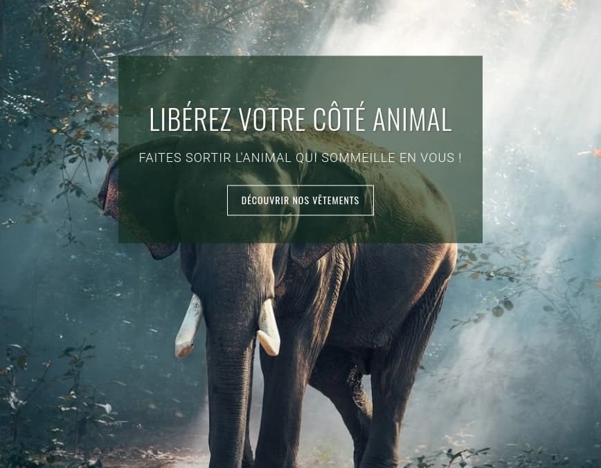 La boutique des Animaux