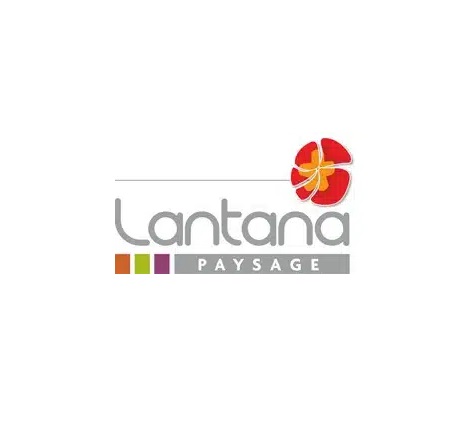 lantana paysage