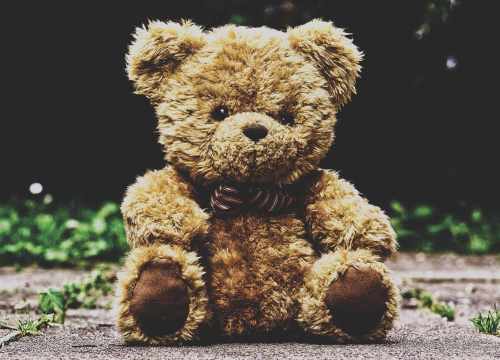La Peluche géante, nounours et doudous