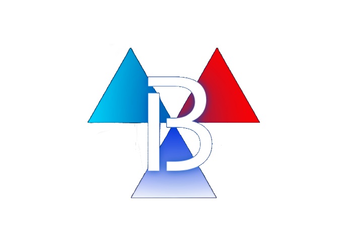 Le Bouquin Français