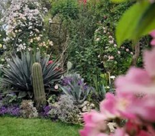 Mon insigne à l'entrée du jardin le clos fleuri 