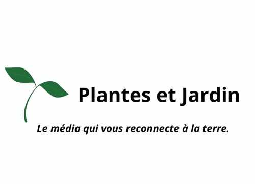 Plantes et Jardin