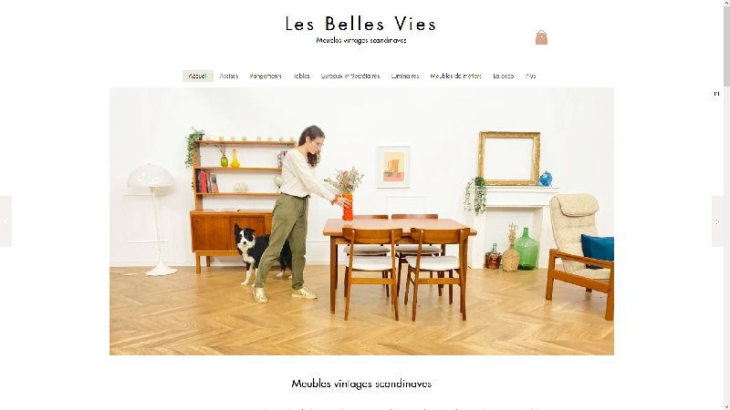 Les Belles Vies - meubles vintages scandinaves