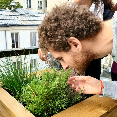 Pause potager au bureau
