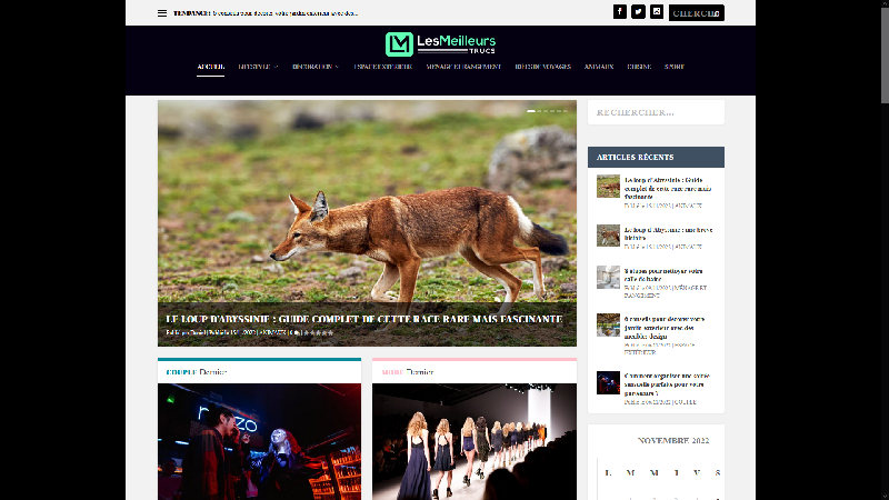 Les meilleurs trucs - Blog